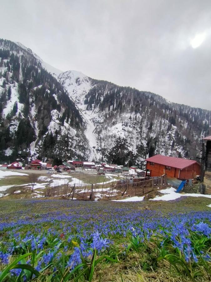 Ayder Yardimci Apart ภายนอก รูปภาพ