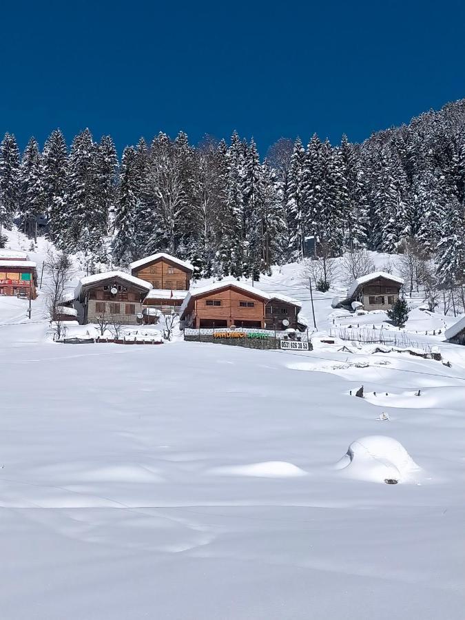 Ayder Yardimci Apart ภายนอก รูปภาพ